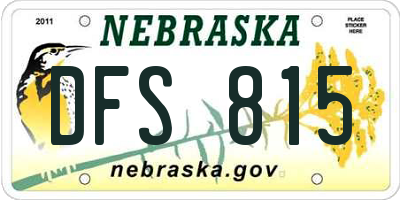 NE license plate DFS815