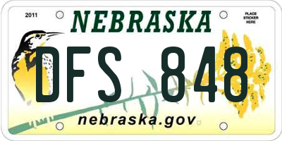 NE license plate DFS848
