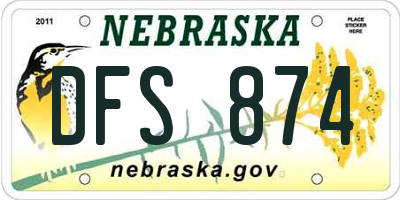 NE license plate DFS874