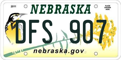 NE license plate DFS907