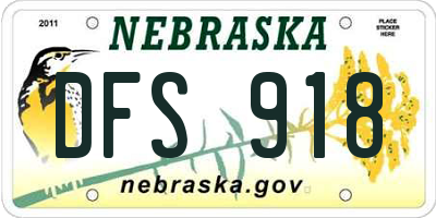 NE license plate DFS918