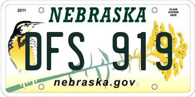 NE license plate DFS919