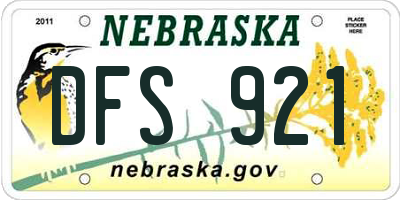 NE license plate DFS921