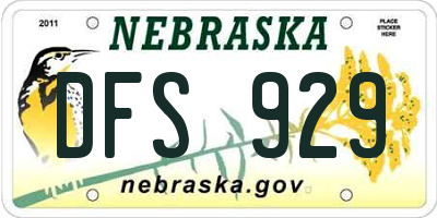NE license plate DFS929