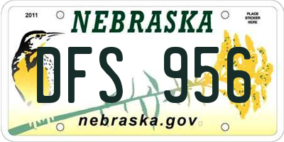 NE license plate DFS956