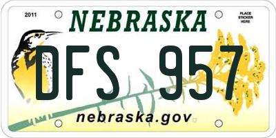 NE license plate DFS957