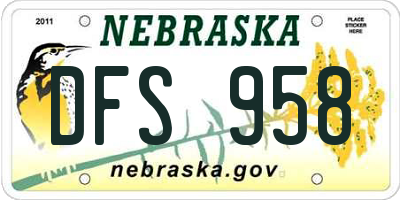 NE license plate DFS958