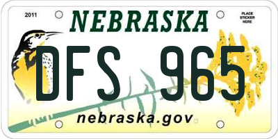NE license plate DFS965