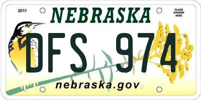 NE license plate DFS974