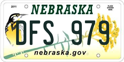 NE license plate DFS979