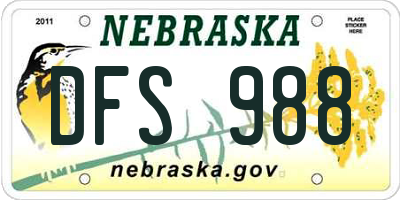 NE license plate DFS988