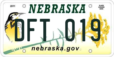 NE license plate DFT019