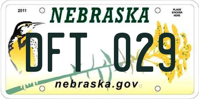 NE license plate DFT029