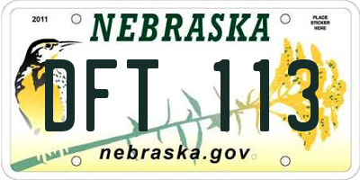 NE license plate DFT113