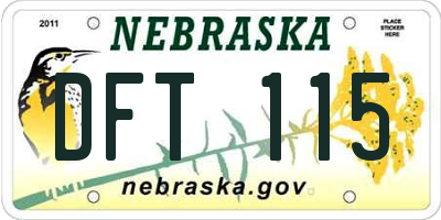 NE license plate DFT115