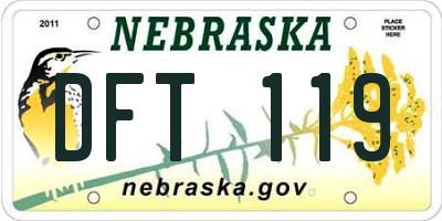 NE license plate DFT119