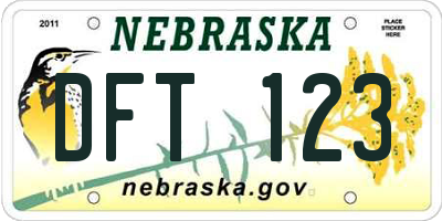 NE license plate DFT123