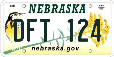 NE license plate DFT124
