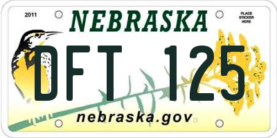 NE license plate DFT125