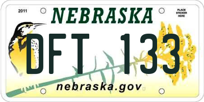 NE license plate DFT133