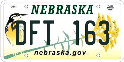 NE license plate DFT163