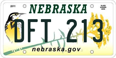 NE license plate DFT213