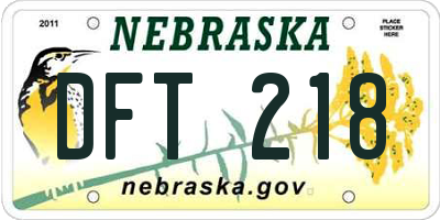 NE license plate DFT218