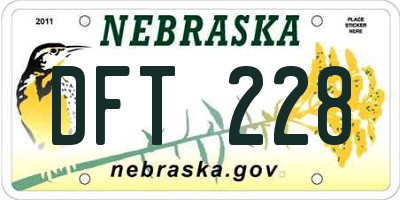 NE license plate DFT228