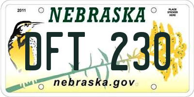 NE license plate DFT230