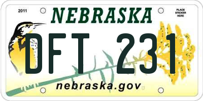 NE license plate DFT231