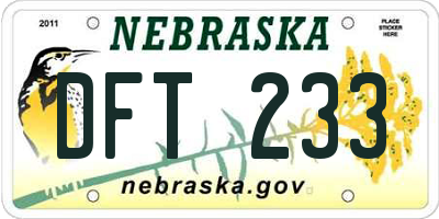 NE license plate DFT233