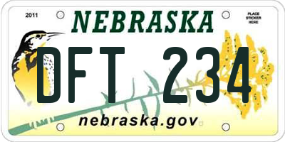 NE license plate DFT234