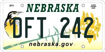 NE license plate DFT242