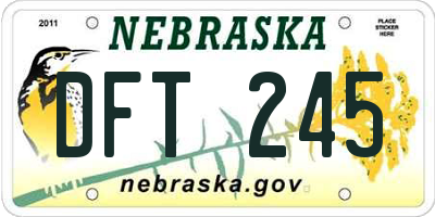 NE license plate DFT245