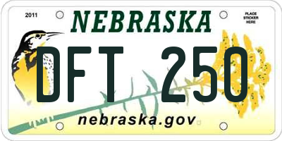 NE license plate DFT250