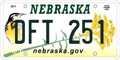 NE license plate DFT251