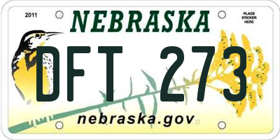 NE license plate DFT273