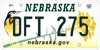 NE license plate DFT275