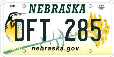 NE license plate DFT285