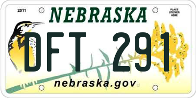 NE license plate DFT291