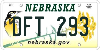 NE license plate DFT293