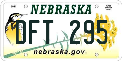 NE license plate DFT295