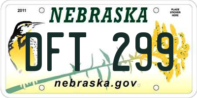 NE license plate DFT299