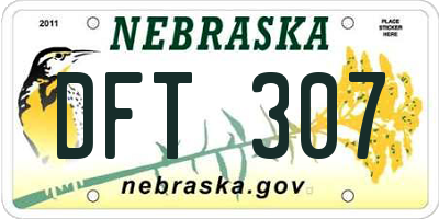 NE license plate DFT307