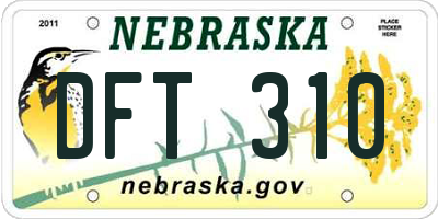 NE license plate DFT310