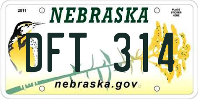 NE license plate DFT314