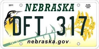 NE license plate DFT317