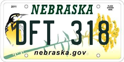 NE license plate DFT318