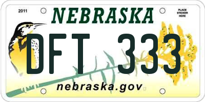 NE license plate DFT333