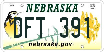 NE license plate DFT391